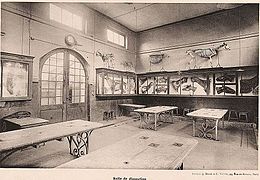 Salle de dissection de l'ancienne école vétérinaire avec les moulages du professeur Lucien Montané