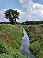 Ruisseau de plaine transformé en fossé (ici dans l'Indiana).