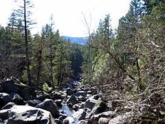 The Rogue River flowing through the Avenue of the Giant Boulders at the Prospect State Scenic Viewpoint