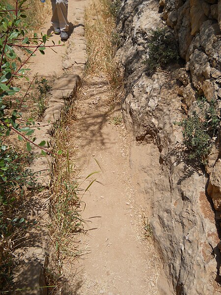 File:Aqueduct on the Hadassah trail 1.JPG