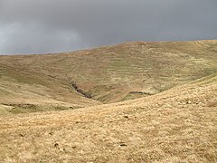 Beinn Tharsuinn - Balcnock ridge - geograph.org.uk - 721583.jpg