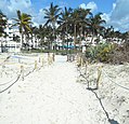 Damage caused by sand encrusted onto wheelchair ramp and dune vegetation near 14th Street and Ocean Drive