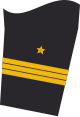 Ärmelabzeichen Dienstanzug Marineuniformträger (Truppendienst)