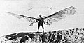 Small Ornithopter（1894年8月16日）