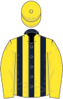 Dark blue and yellow stripes, yellow sleeves and cap