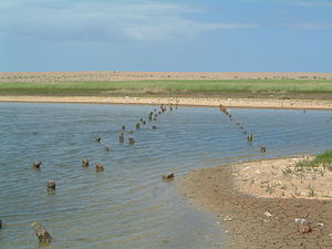 Remains of WWII anti-tank defence on Salthouse marsh