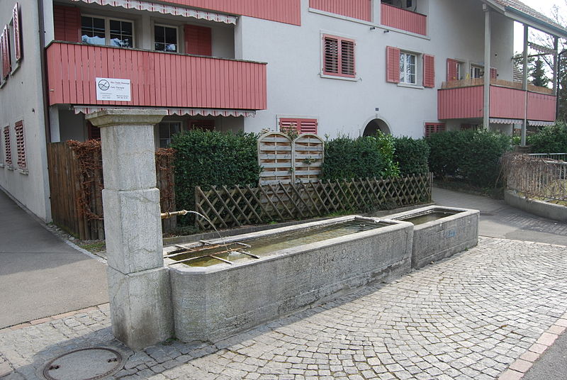 File:Bachenbuelach vilagha puto 040.JPG