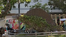 An image of a dinosaur-shaped sculpture spewing water out of its mouth. The sculpture is made out of a dark metal frame and covered with green leaves.