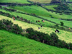 Fields south of the N86 near Anascaul - geograph.org.uk - 15574.jpg