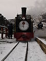 Treno nella stazione di Cascada.