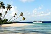 Beach in Wakatobi National Park