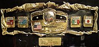 Der aktuelle NWA Worlds Heavyweight Championship 10-Pounds-of-Gold Gürtel (1973–1986, seit 1994)