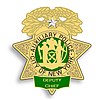 Auxiliary Deputy Chief Shield
