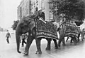 Um desfile de elefantes com treinadores indianos do show Hagenbeck, a caminho do Zoológico de Berlim, 1926.
