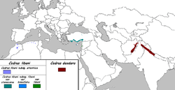 Distribución natural de Cedrus deodara en granate.