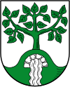 Wappen von Weißenborn