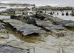 Ostriche su una spiaggia di Fouras