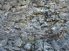 Lichens on the base of Pilot Rock