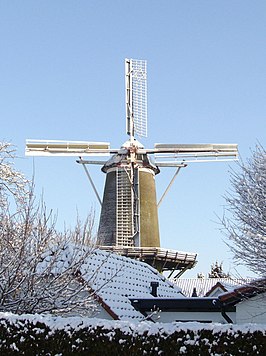 januari 2009