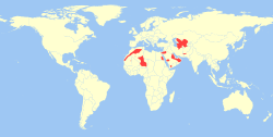 Distribución del gato de las arenas