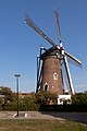 Hilvarenbeek, le moulin: windmolen De Doornboom