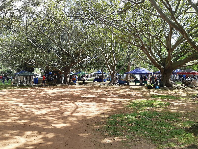 File:Potters Market at Rondebosch Park.jpg