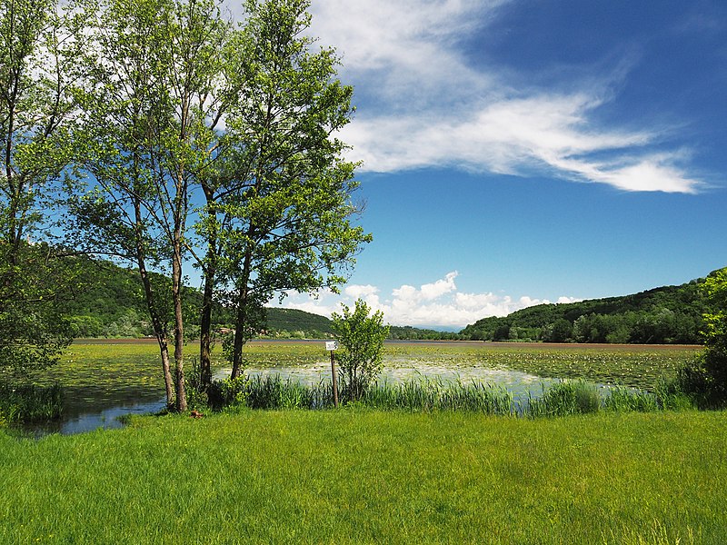 File:Primavera al Lago di Fimon.jpg