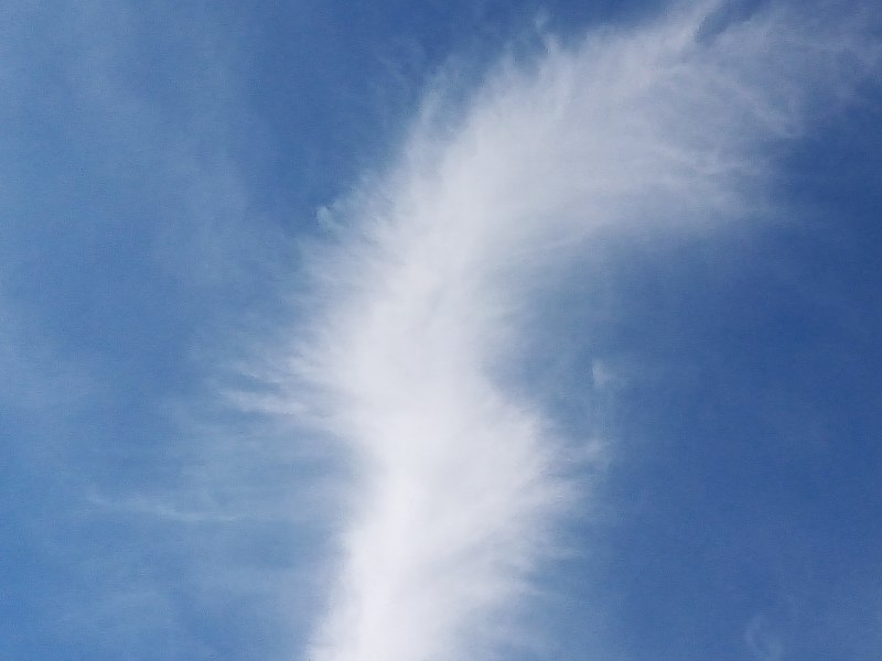 File:Spiny cloud.jpg