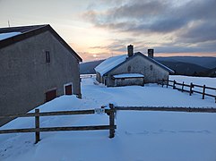 Malga Montagna Nuova Davanti a Conco