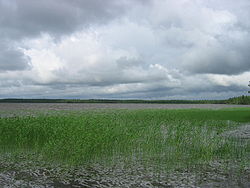 Järvi Olvaksen tien päästä länteen.