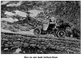 Bierbaum kurz vor dem Gotthard-Hospiz, 1902