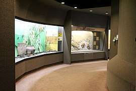 Displays on Paleoindian artifacts in Iowa Hall