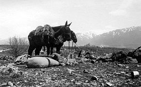 Sosta a Erseke. 1941 - panoramio - ildirettore.jpg