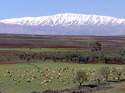 Deir al-Adas with Mount Hermon in the background