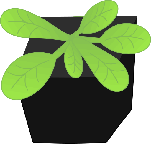 File:202004 Arabidopsis thaliana expanded leaves.svg