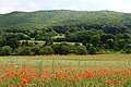 Naturschutz- und Natura-2000-Gebiet Kelle - Teufelskanzel