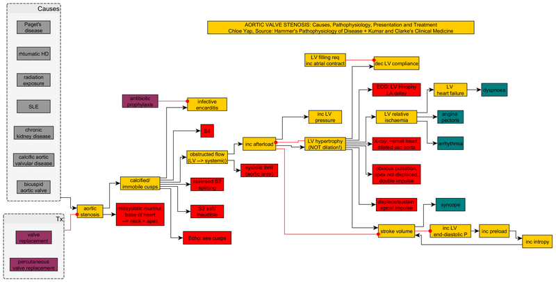 File:CVS Aortic Stenosis Hammer KumarandClarke.png