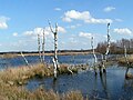 Vorschaubild für Großes Torfmoor