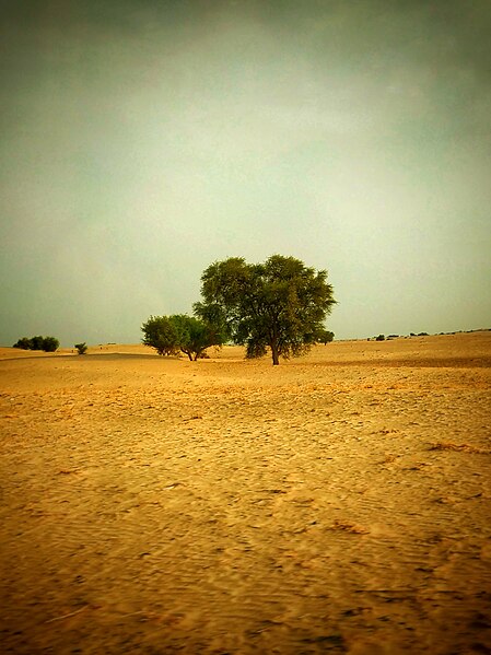 File:Thal Dessert Landscape.jpg