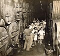Visite d'un domaine viticole à Zichron Yaakov (1945)