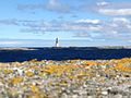 Fyret ligger på skjæret Bratthårskollen. Foto: Vigdis Brekkan, 2012