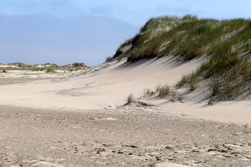 File:Nationalpark Niedersächsisches Wattenmeer - Norderney - Dünenlandschaft (14).jpg