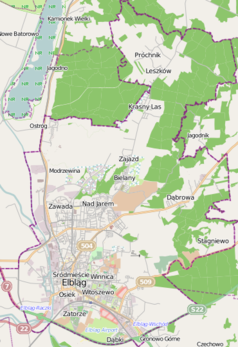 Mapa konturowa Elbląga, na dole znajduje się punkt z opisem „Elbląg”