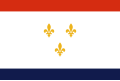 Vlag van New Orleans, Verenigde Staten