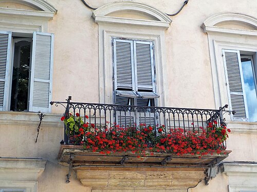 Red pelargoni on the balcony, Piazza Santa Chiara, Assisi, Italy