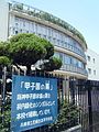 加盟校に植栽された「甲子園球場の蔦」（尼崎西高校）