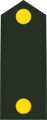 Adjudant-onderofficier (Royal Netherlands Army)[6]