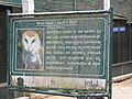 Birds at Bannerghatta National Park