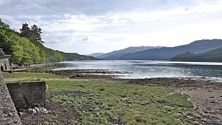 Eastern shoreline of Gare Loch near Shandon - geograph.org.uk - 1915240.jpg