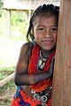 Image 1Embera girl, Darién Province, 2006 (from Indigenous peoples of Panama)